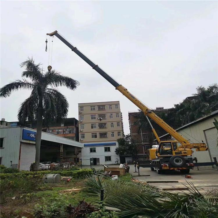银海吊车吊大树几种方法